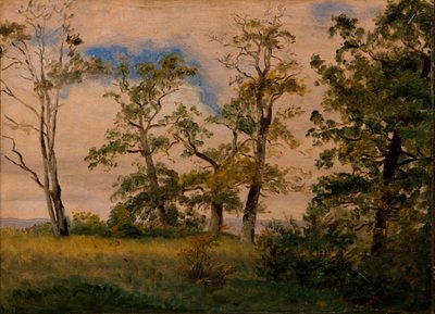 Landschaft mit freistehenden Bäumen von Dankvart Dreyer